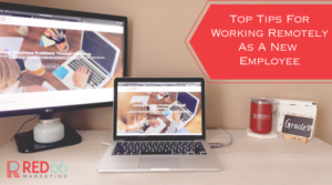 Top tips for working remotely as a new employee blog image