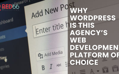 Why WordPress Is This Agency’s Web Development Platform of Choice